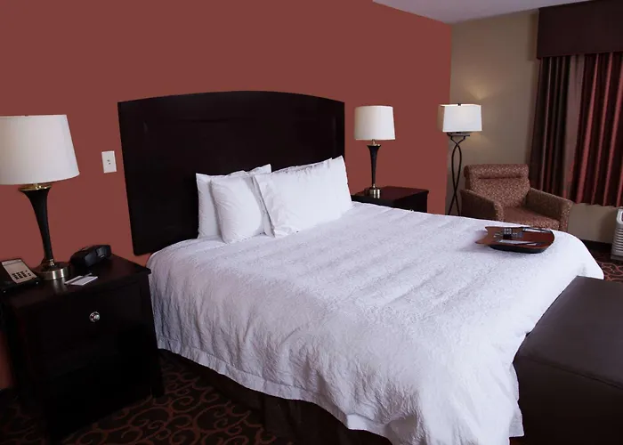 Hampton Inn & Suites Dickinson Nd